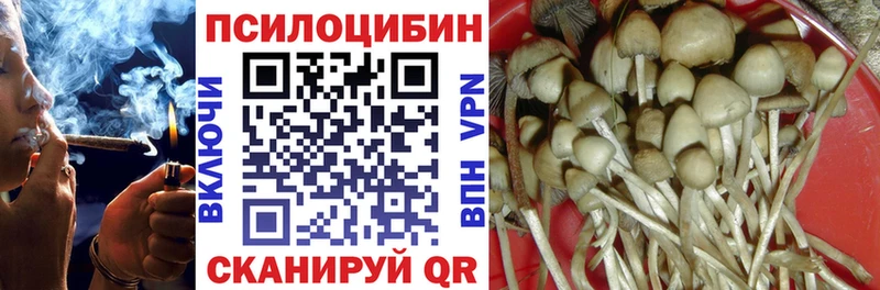 Псилоцибиновые грибы мухоморы  Тырныауз 